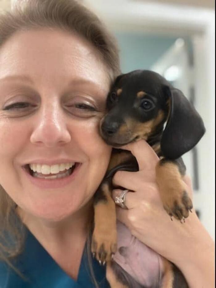 Images Stonebridge Family Vet