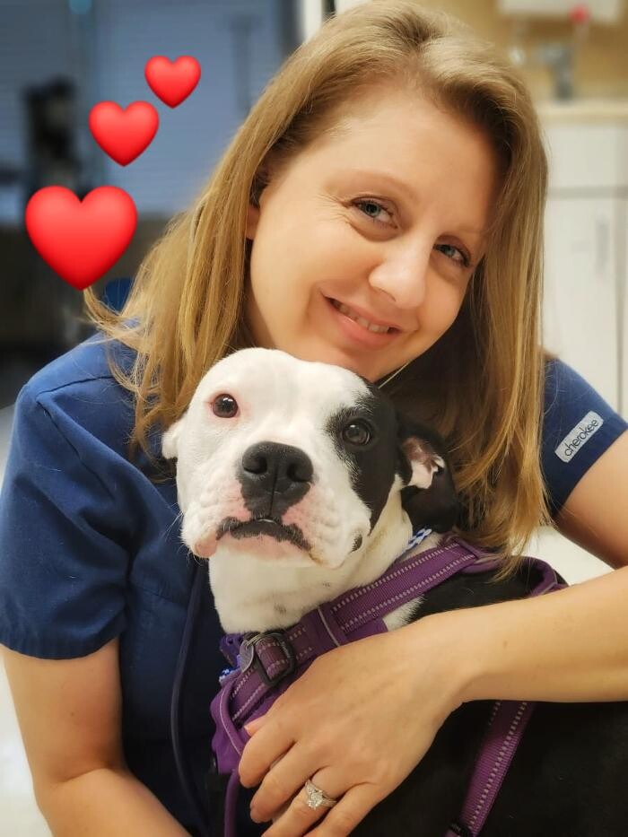 Images Stonebridge Family Vet