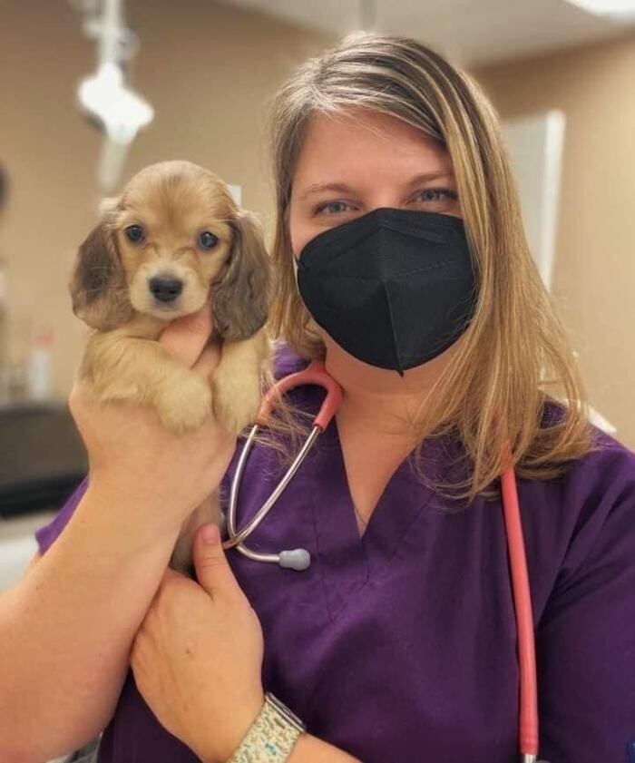 Images Stonebridge Family Vet