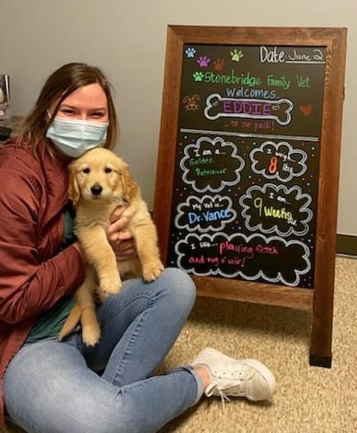 Images Stonebridge Family Vet