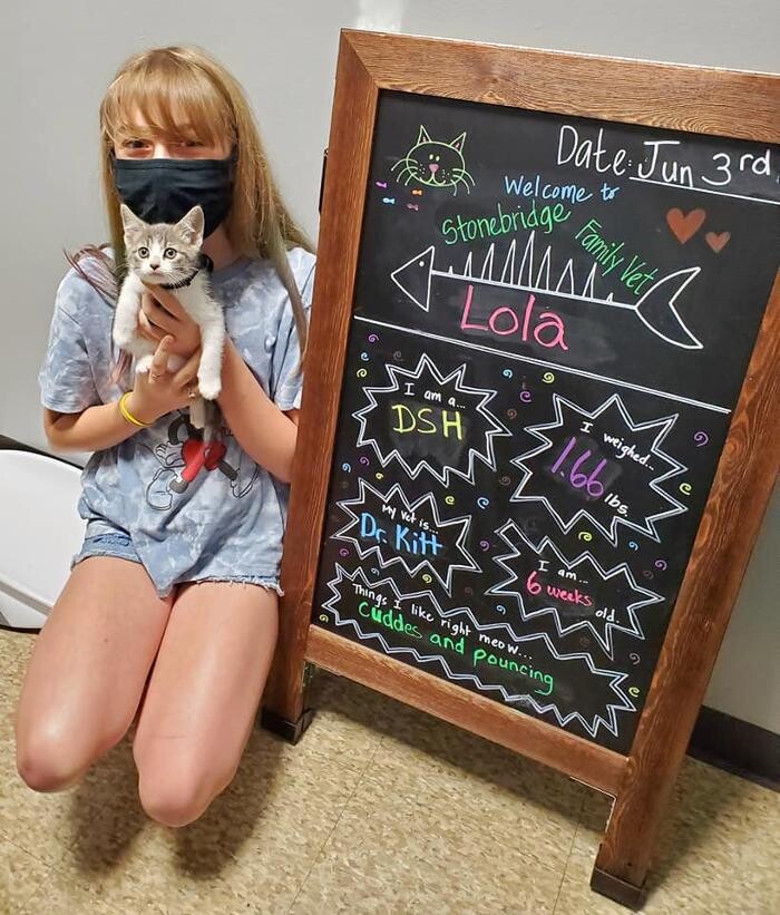 Images Stonebridge Family Vet