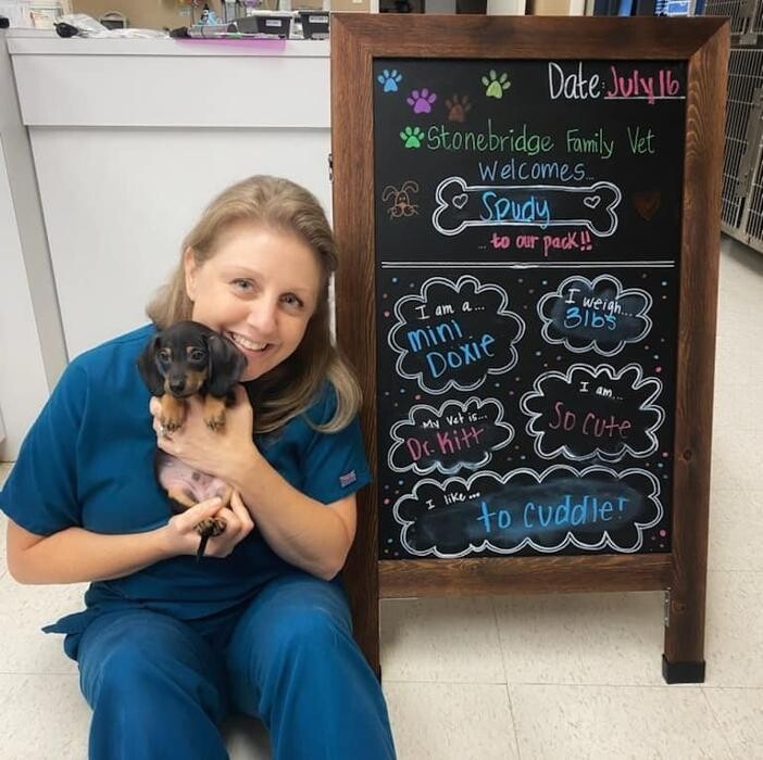 Images Stonebridge Family Vet