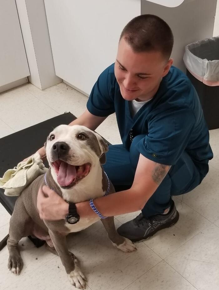 Images Stonebridge Family Vet