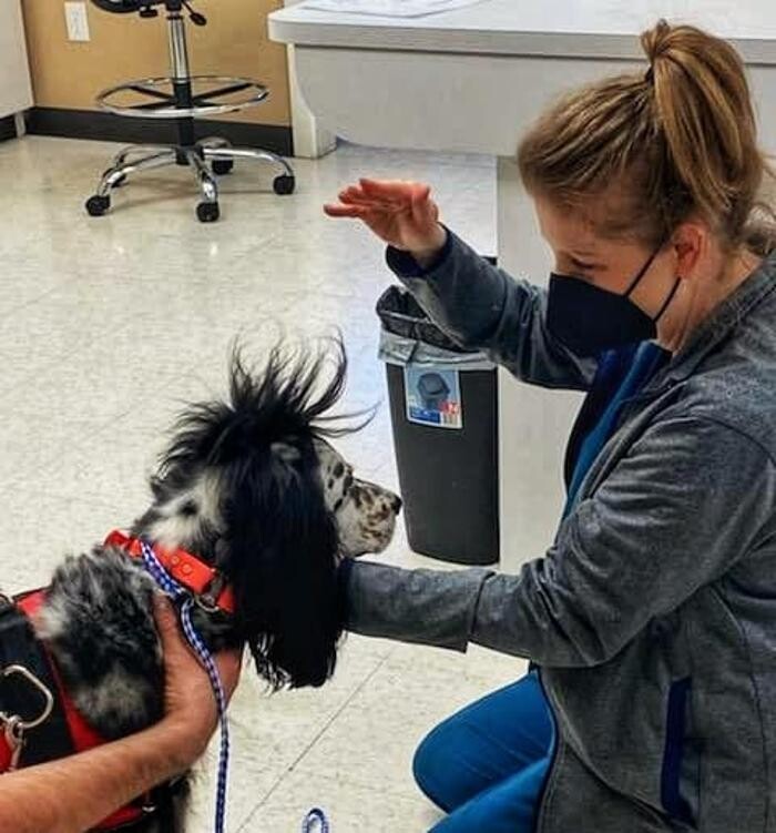 Images Stonebridge Family Vet