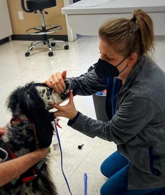 Images Stonebridge Family Vet