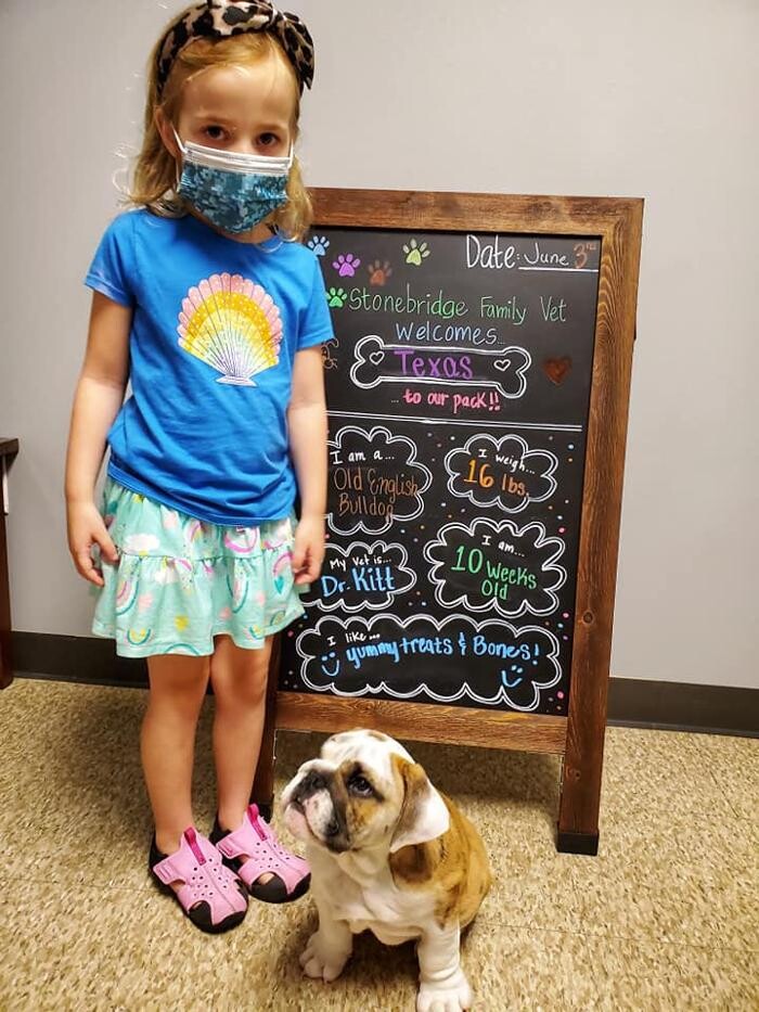 Images Stonebridge Family Vet