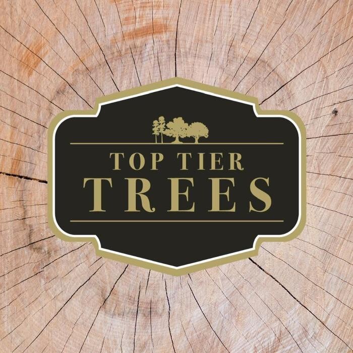 Top Tier Trees Logo