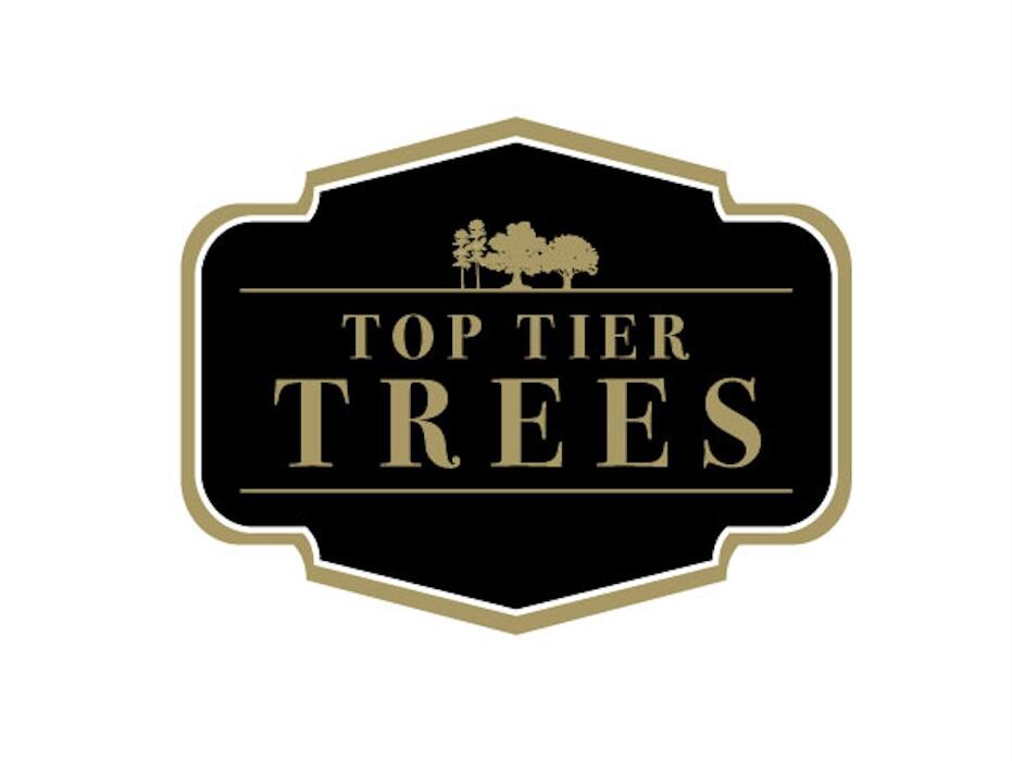 Images Top Tier Trees