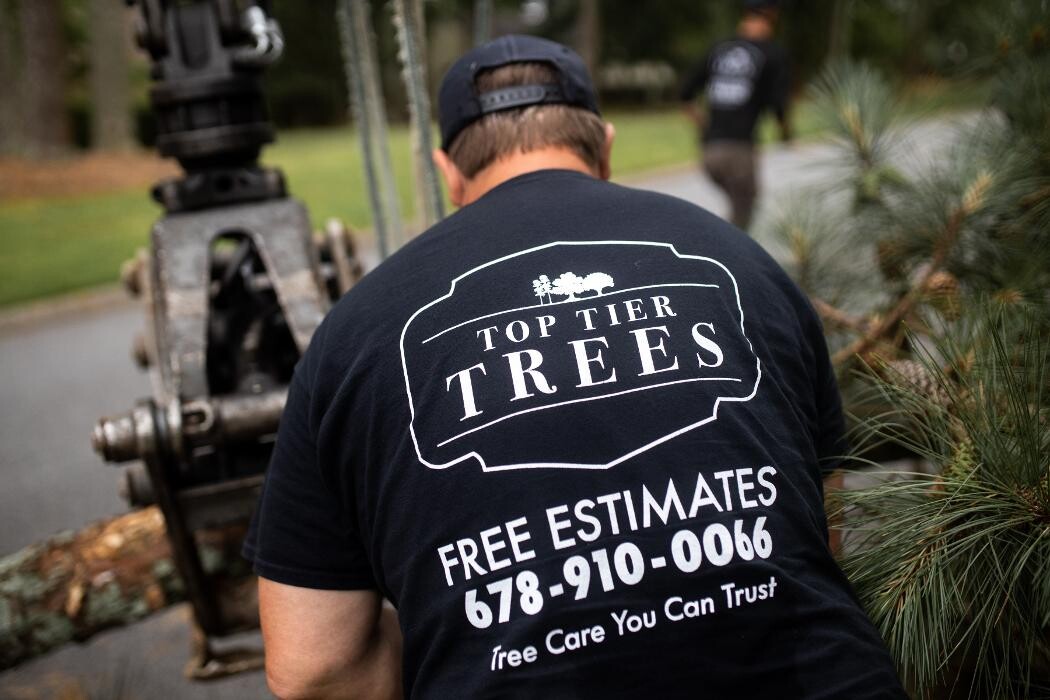 Images Top Tier Trees
