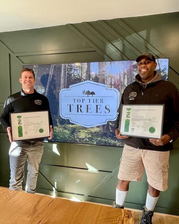 Images Top Tier Trees