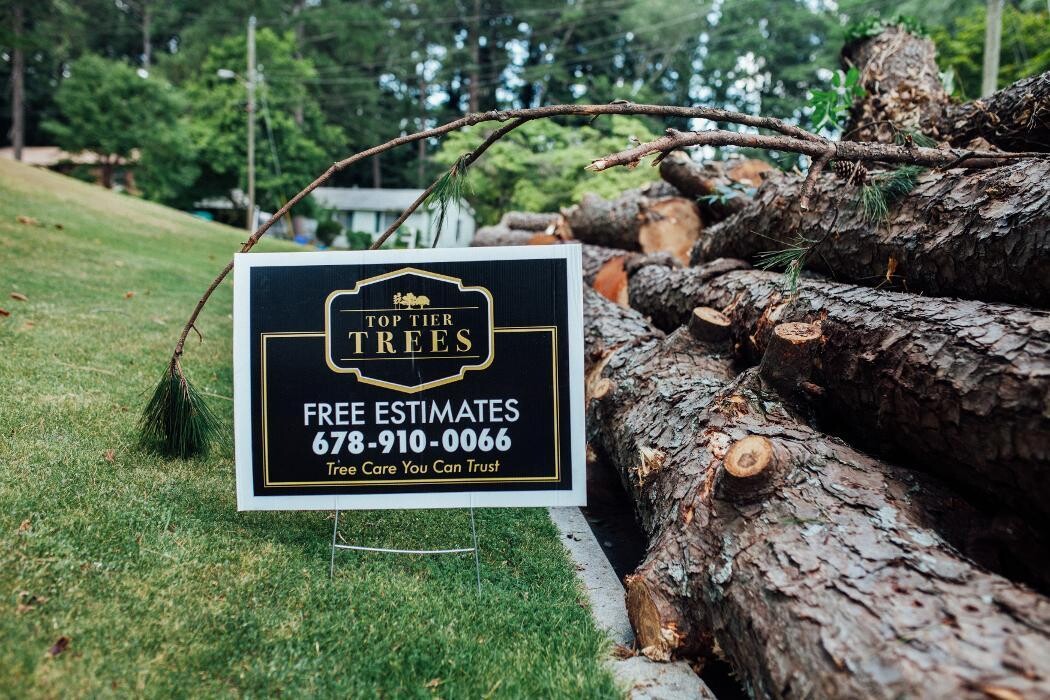 Images Top Tier Trees