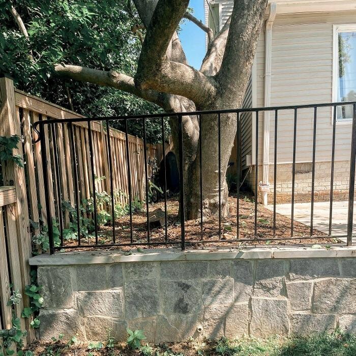 Images Top Tier Trees