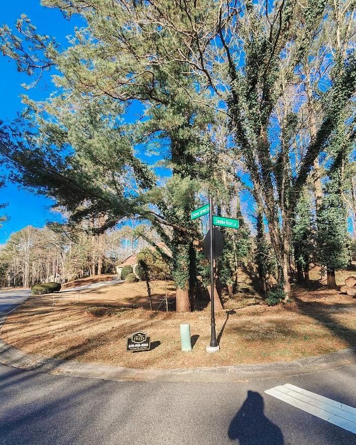 Images Top Tier Trees