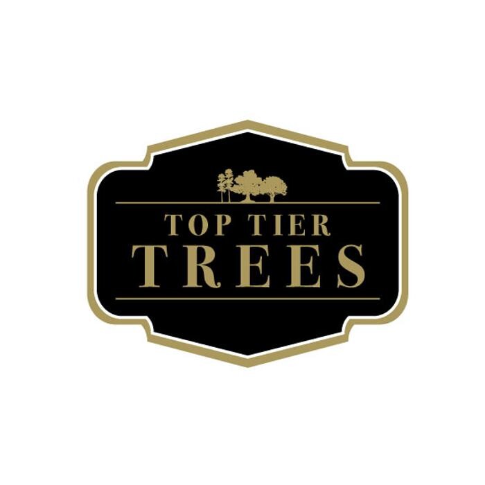Images Top Tier Trees