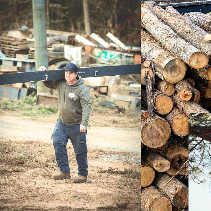 Images Top Tier Trees
