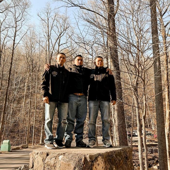 Images Top Tier Trees