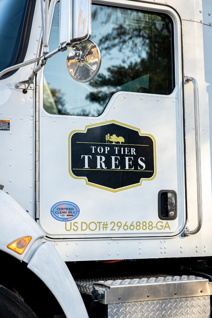 Images Top Tier Trees