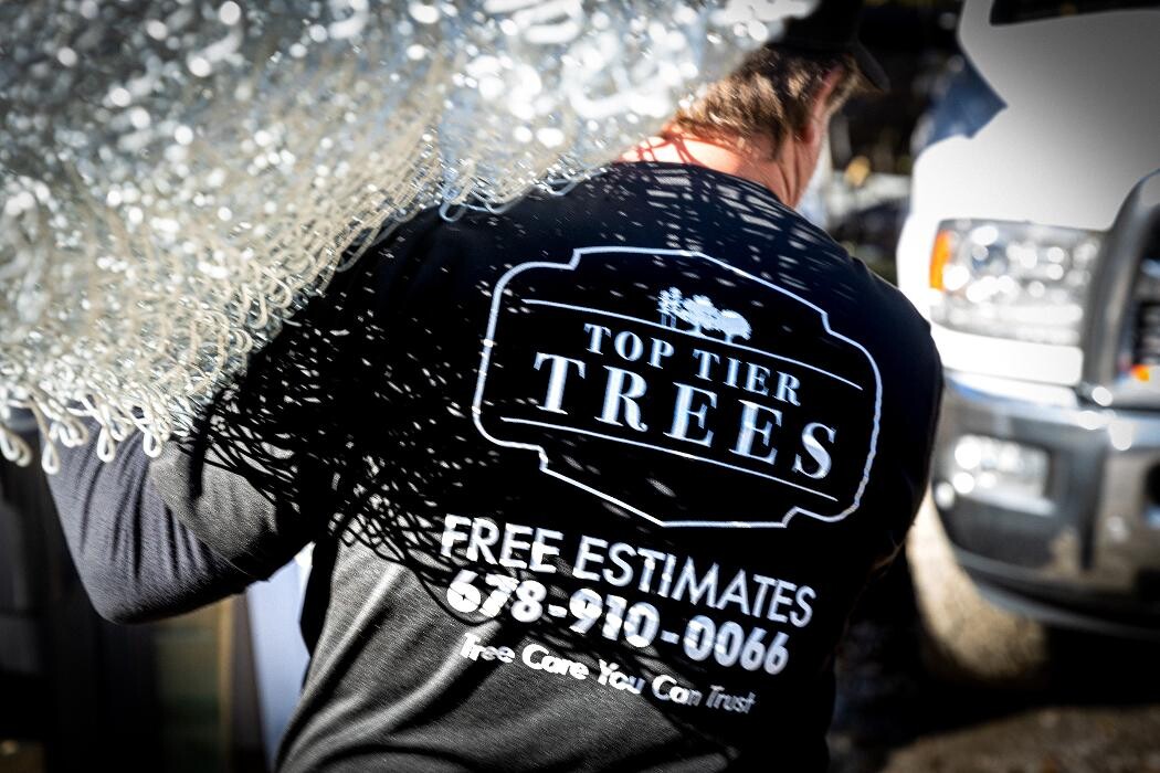 Images Top Tier Trees