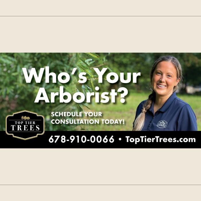 Images Top Tier Trees