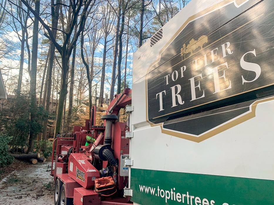 Images Top Tier Trees