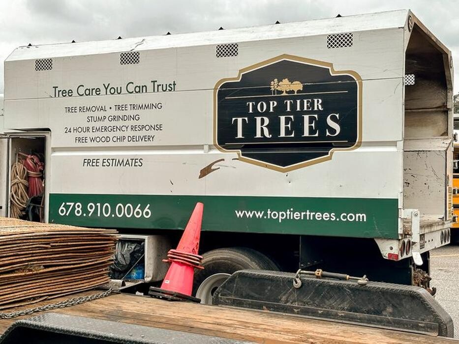 Images Top Tier Trees