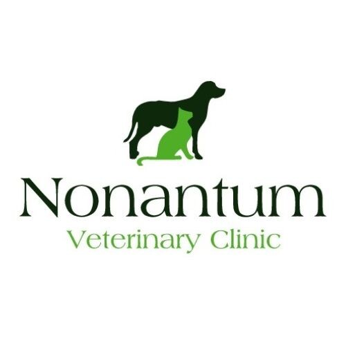 Nonantum Veterinary Clinic Logo