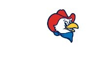 Website Screenshot Chester's Chicken