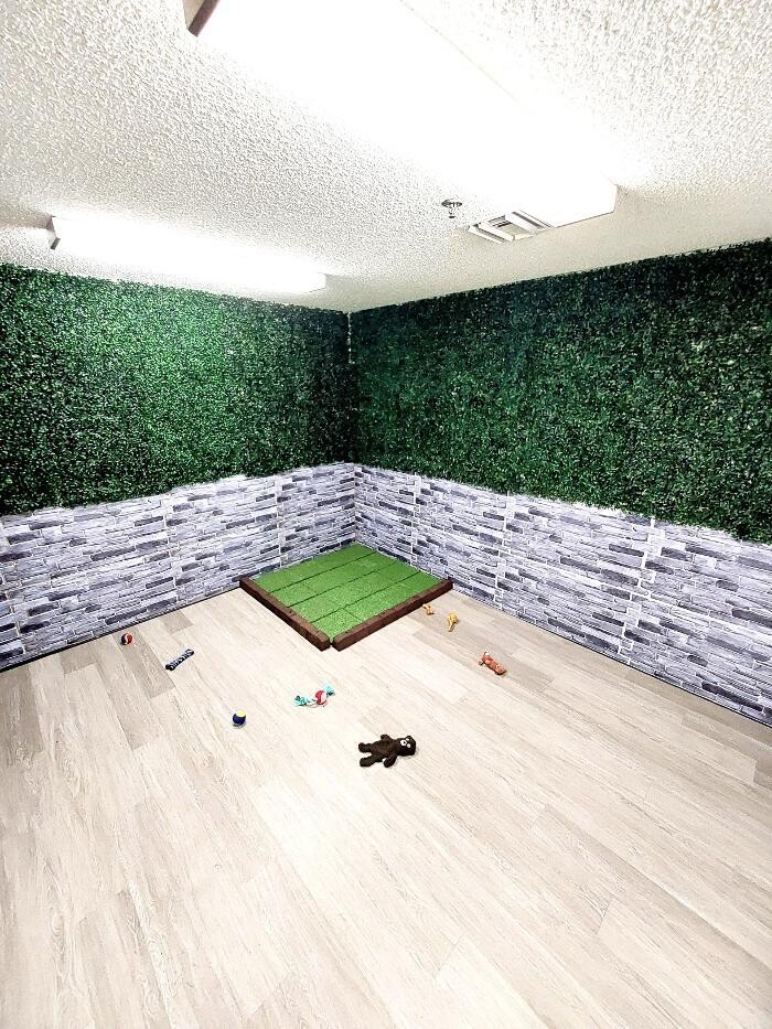 Images Majesty Pet Hotels