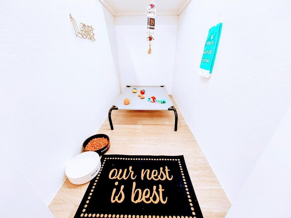 Images Majesty Pet Hotels