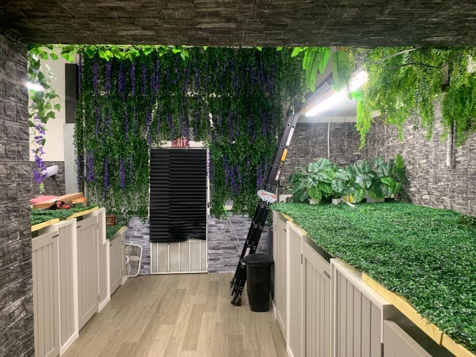 Images Majesty Pet Hotels