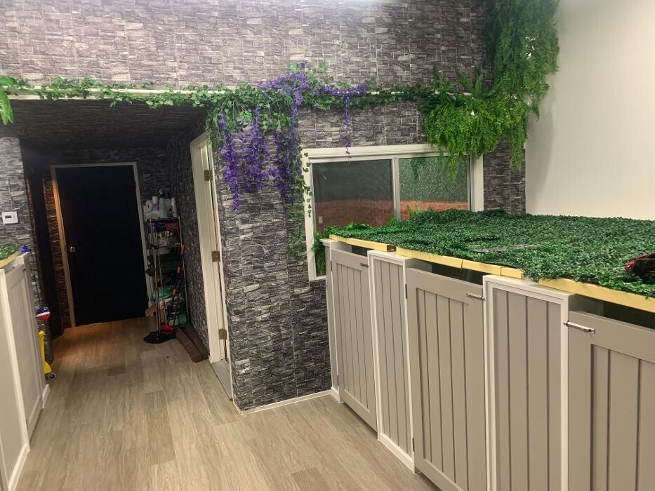 Images Majesty Pet Hotels