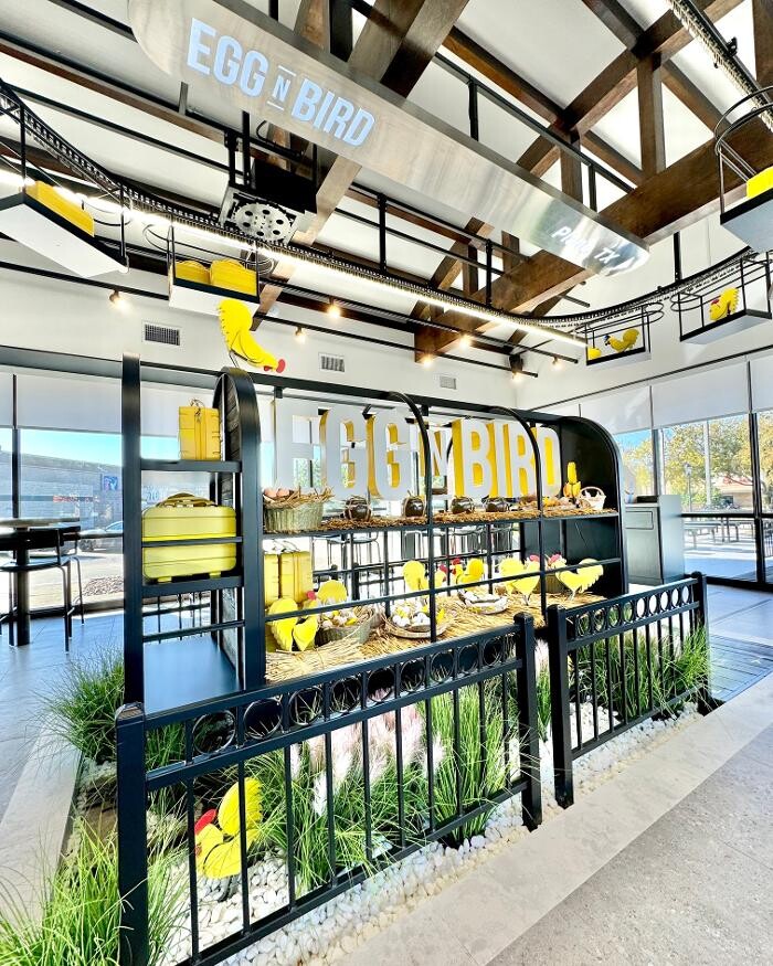 Images Egg N Bird - Plano