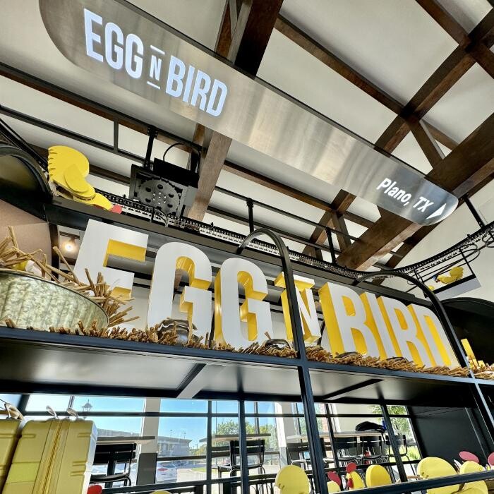 Images Egg N Bird - Plano