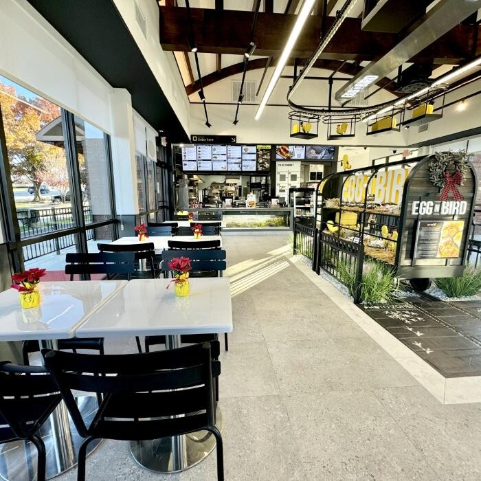Images Egg N Bird - Plano