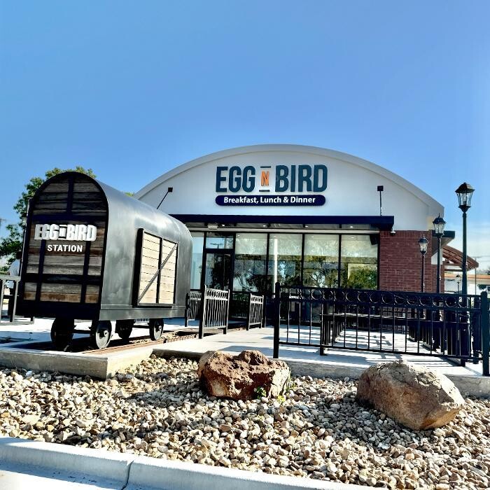 Images Egg N Bird - Plano