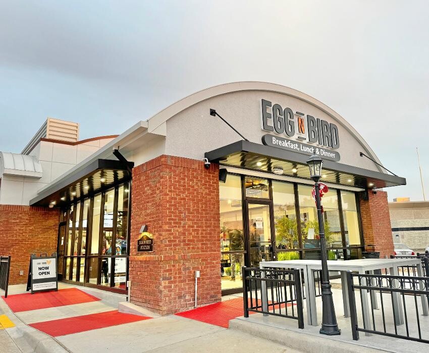 Images Egg N Bird - Plano