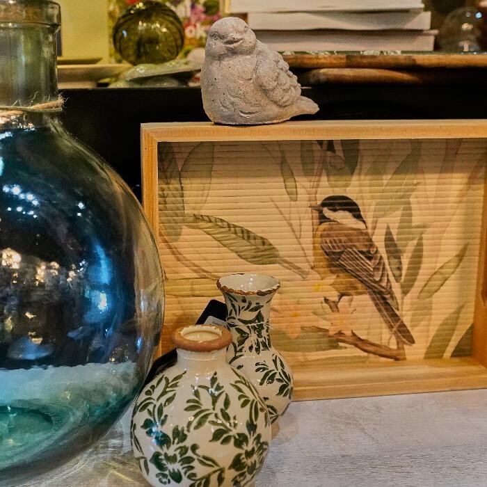 Images The Olive Branch Boutique
