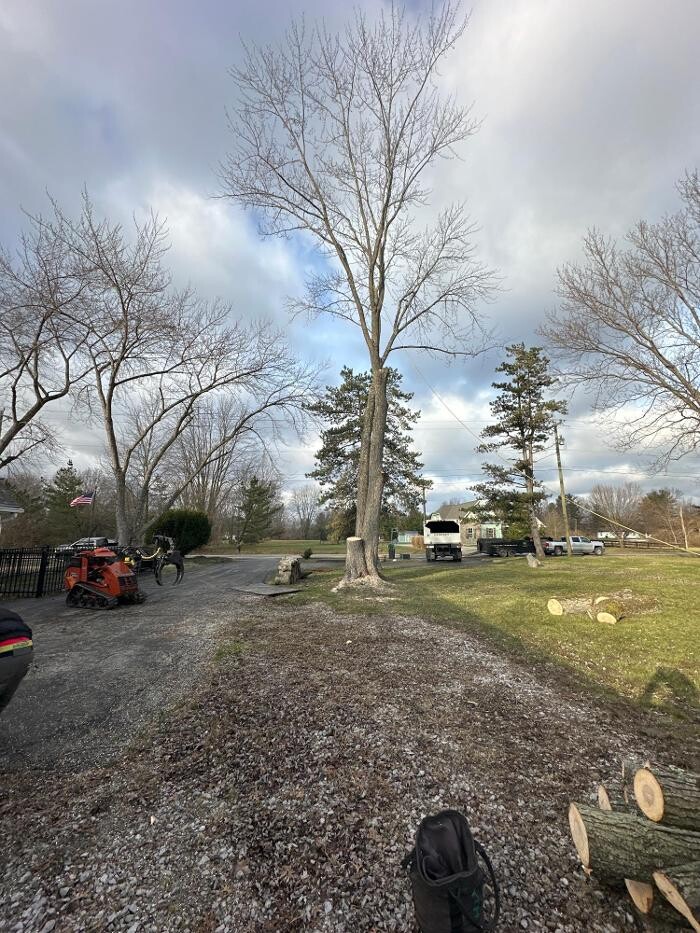 Images Anstaett's Tree Service