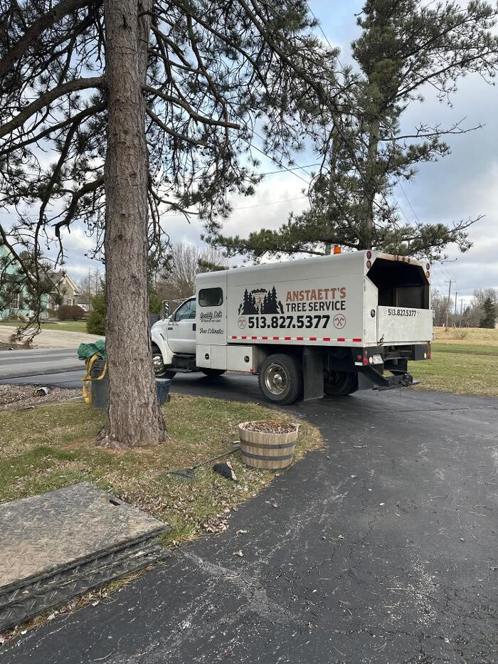 Images Anstaett's Tree Service