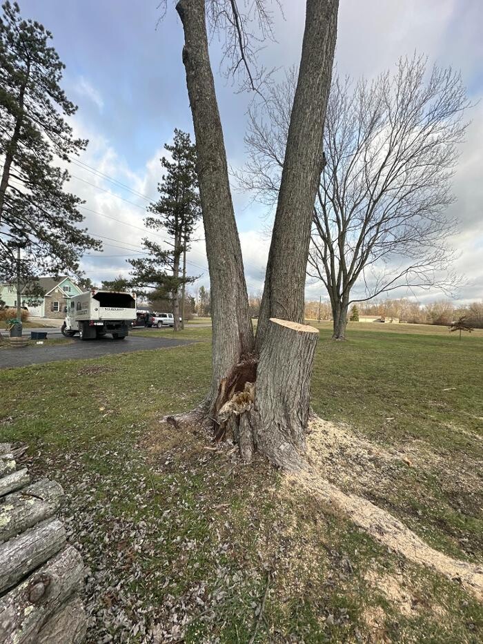 Images Anstaett's Tree Service
