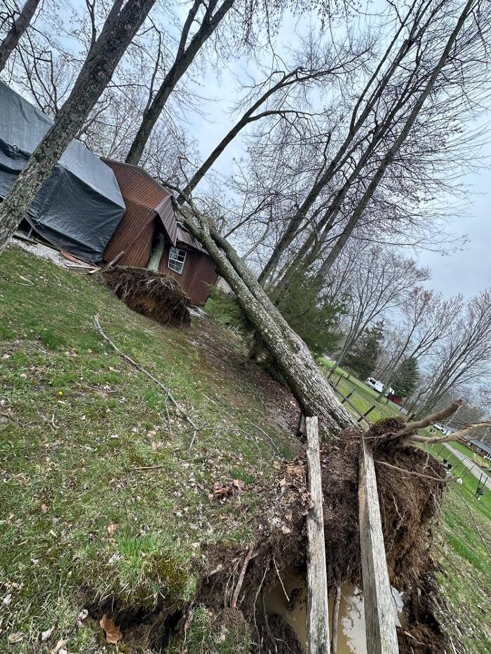 Images Anstaett's Tree Service
