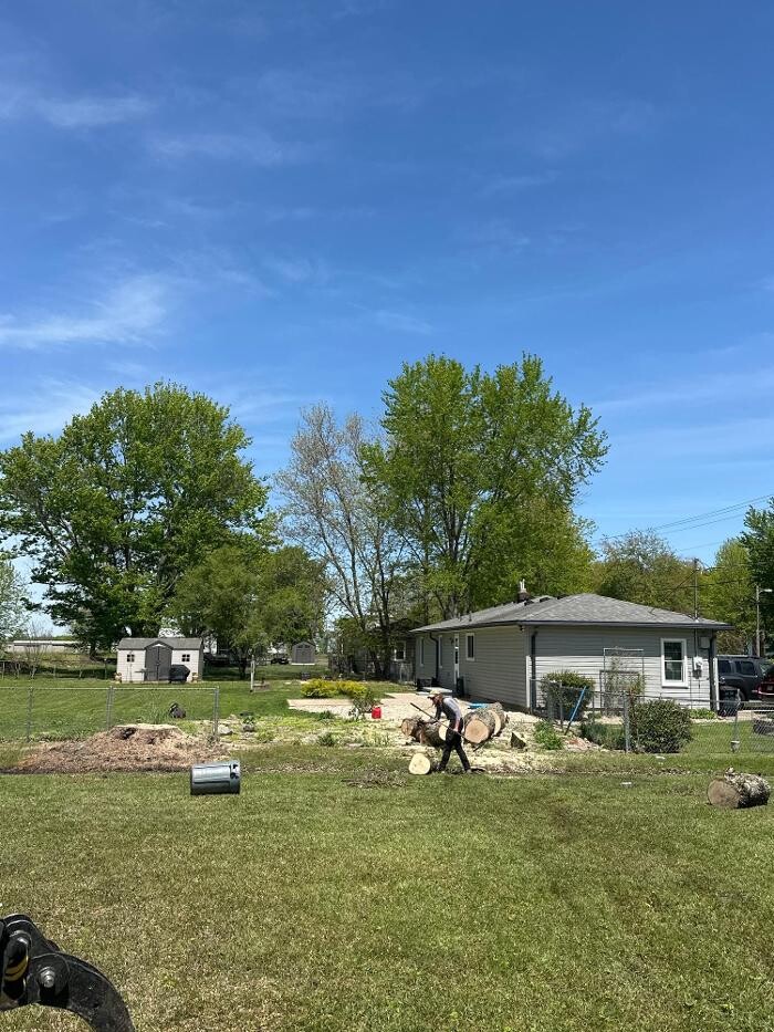 Images Anstaett's Tree Service