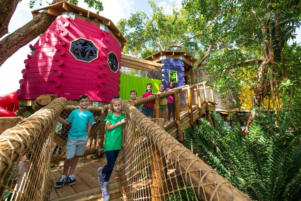 Images Jungle Island