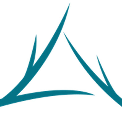 Amber Caldwell at Twin Tree Mortgage, LLC | NMLS# 2281302 Logo
