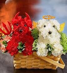 Images An English Garden Flowers & Gifts