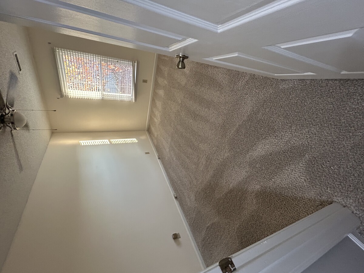 Images Budget Carpet Cleaning and Upholstery LLC