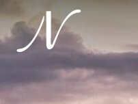 Website Screenshot Northern Vermont Oral Surgery