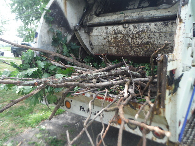 Images All Phase Junk Removal