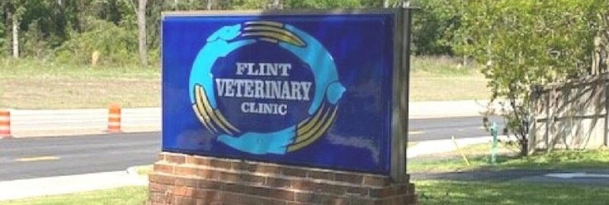 Images Flint Veterinary Clinic
