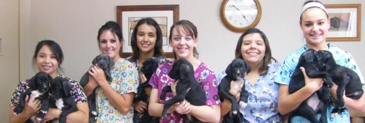 Images Highland Animal Hospital